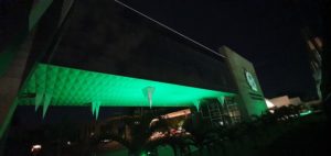 Leia mais sobre o artigo TCE-AM homenageia profissionais de saúde com luzes verdes