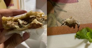 Leia mais sobre o artigo Cliente é premiado com ‘grampo’ em sanduíche do Edmilson Lanche