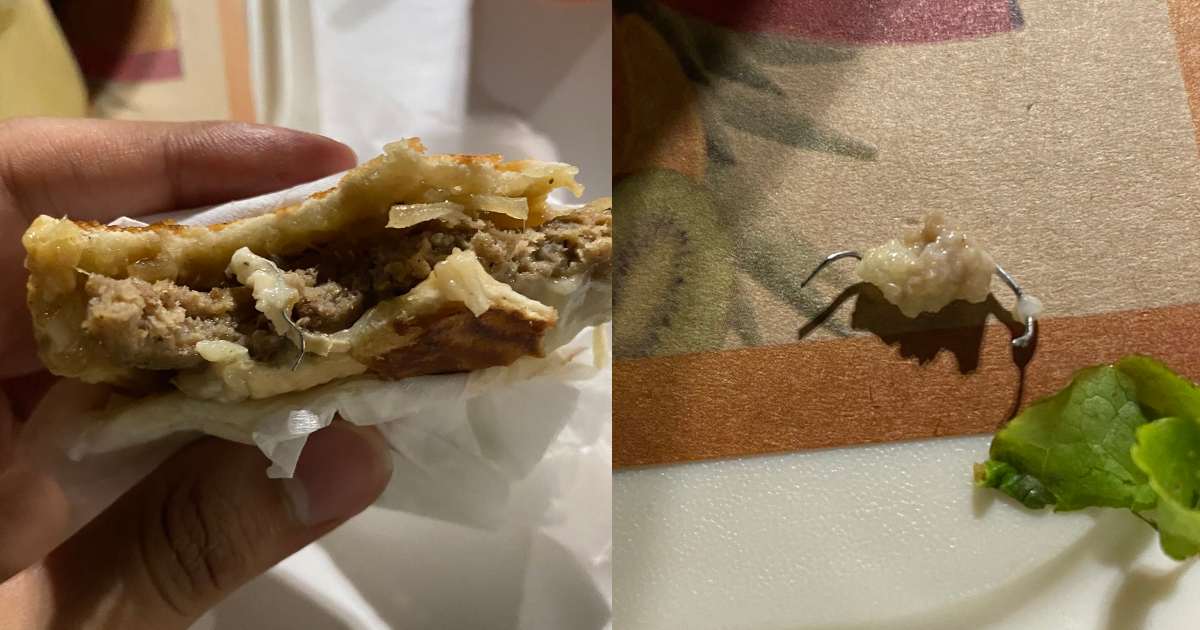 No momento, você está visualizando Cliente é premiado com ‘grampo’ em sanduíche do Edmilson Lanche