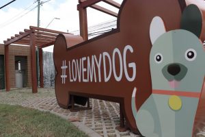 Leia mais sobre o artigo Pet Park é reaberto em Manaus adotando todas as medidas preventivas