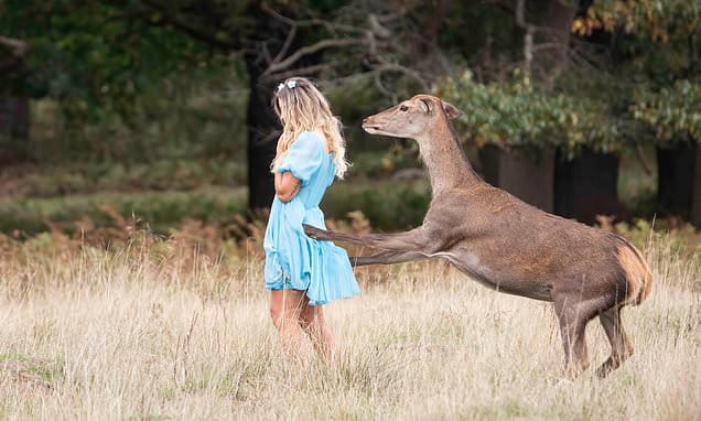 No momento, você está visualizando Veado ataca cantora que fazia sessão fotográfica em parque