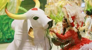 Leia mais sobre o artigo Boi Garantido anuncia saída de três itens oficiais do Festival