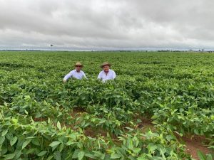 Leia mais sobre o artigo Aplicação do BASA no Plano Safra 2020/2021 já supera os R$ 2,4 Bilhões