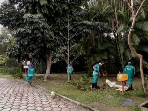 Leia mais sobre o artigo Prefeitura inicia trabalho de revitalização do Parque do Mindu
