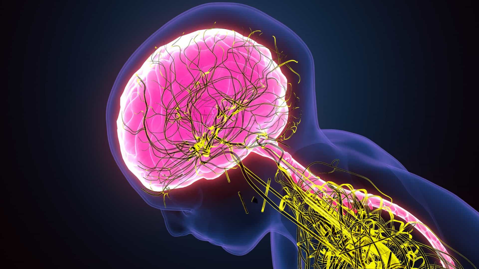 No momento, você está visualizando Covid-19 causa distúrbios neurológicos em pessoas com sintomas leves