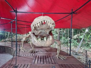 Leia mais sobre o artigo Em Manaus, exposição reúne animais que viveram há milhões de anos na Amazônia