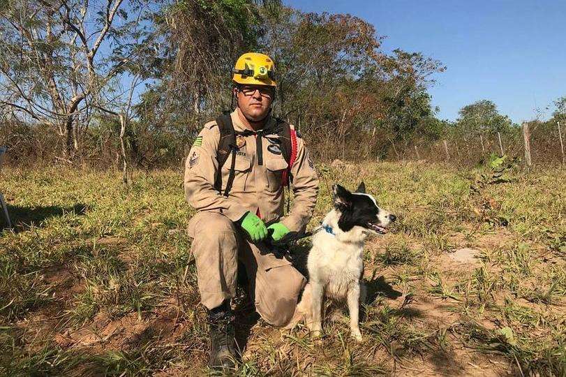 Leia mais sobre o artigo Serial killer do DF: cadela que atuou em Brumadinho ajuda nas buscas por Lázaro