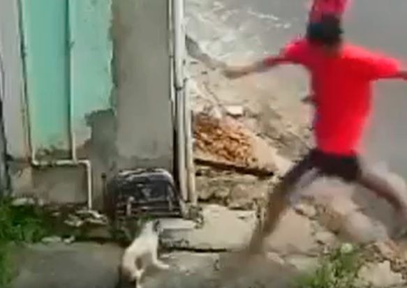 Leia mais sobre o artigo Suspeito de esfaquear cachorro é executado em Manaus