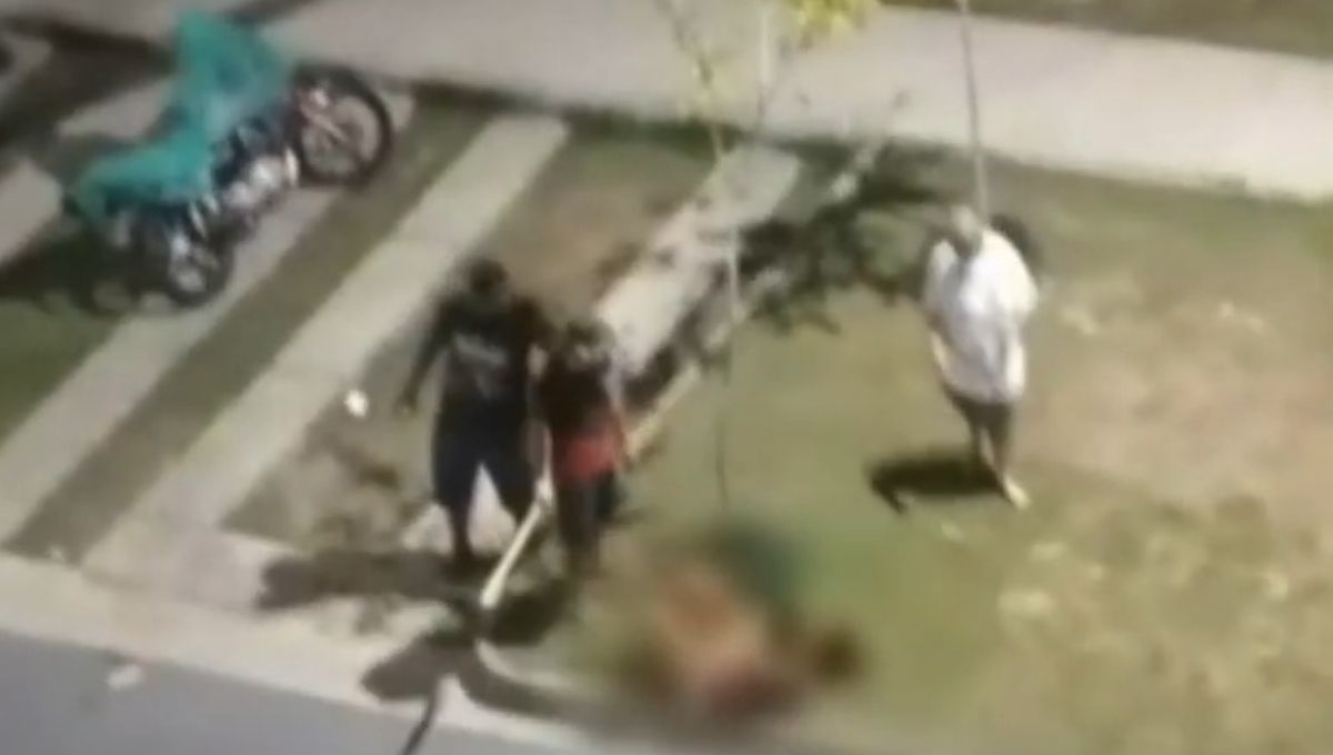 Leia mais sobre o artigo Com criança no colo, mulher é agredida a pauladas por um homem em Manaus