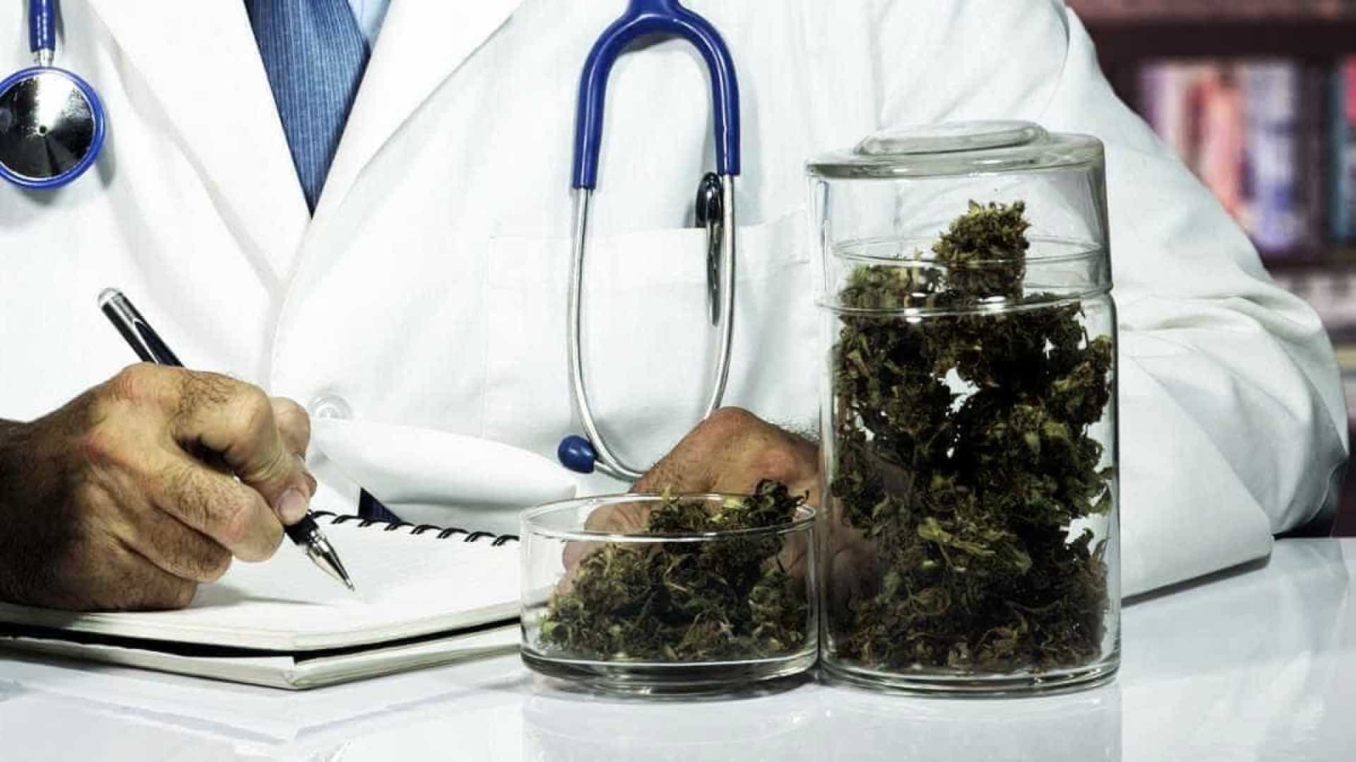 Leia mais sobre o artigo Novo medicamento à base de canabidiol é liberado pela Anvisa