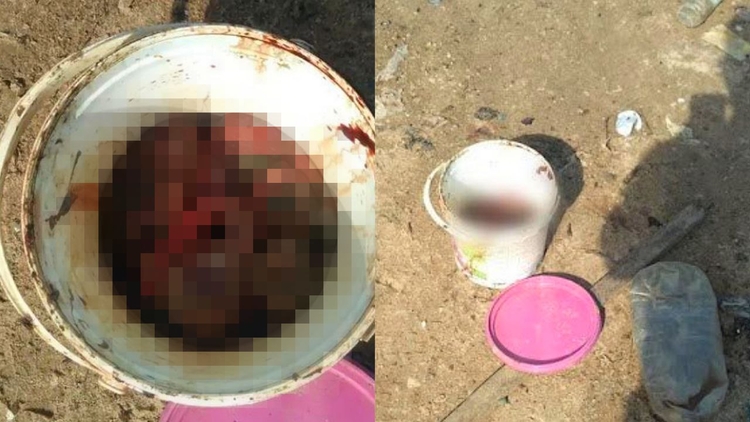 Leia mais sobre o artigo Dois fetos são encontrados em praia de Manaus