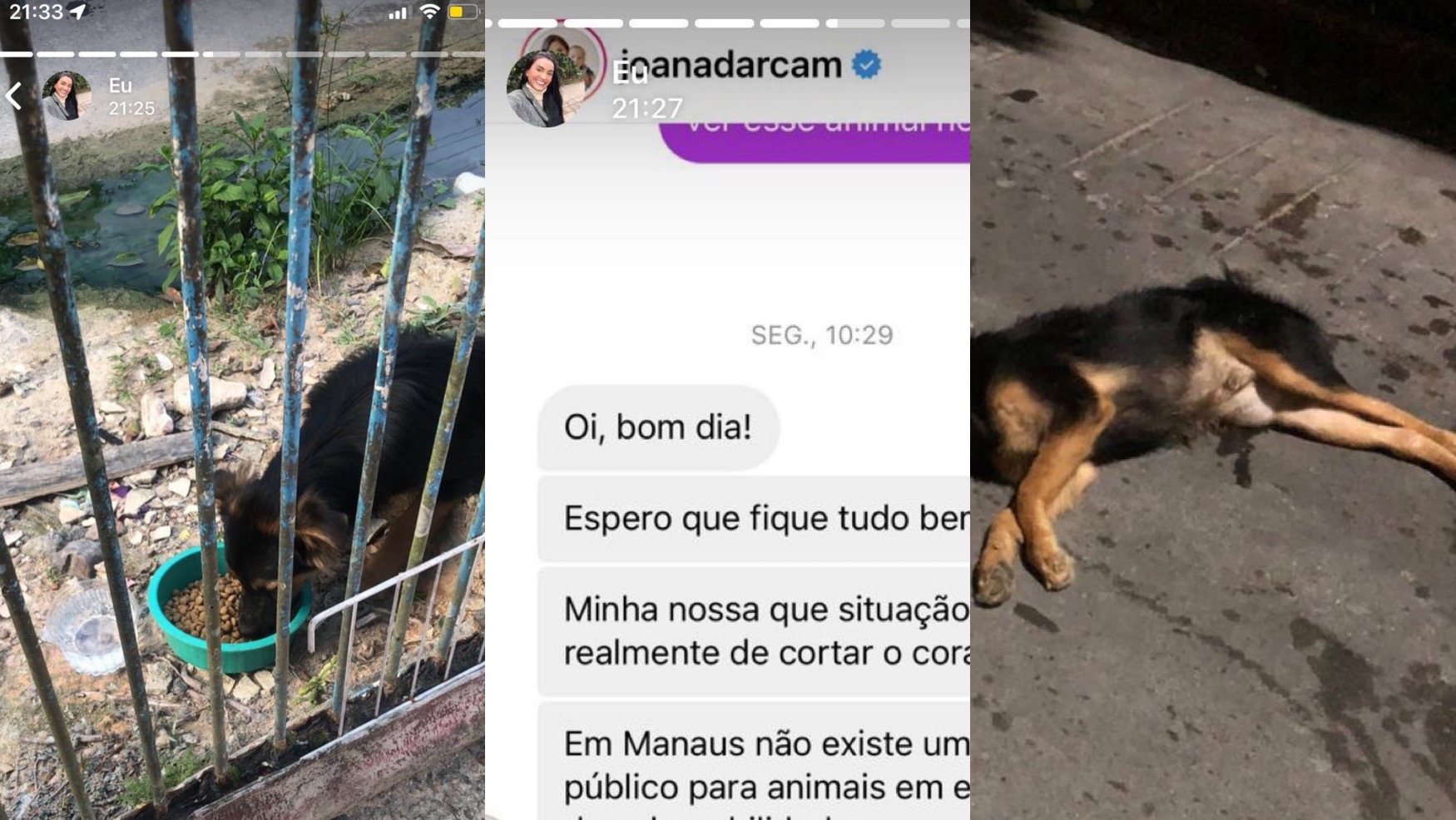 No momento, você está visualizando Joana Darc é acusada de negar ajuda a cão arremessado de veículo
