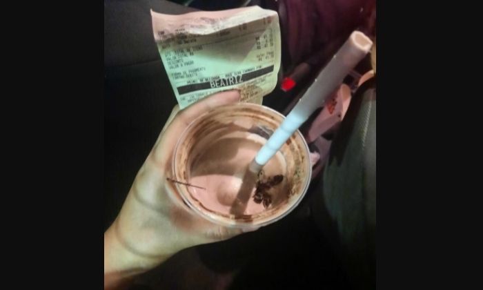 Leia mais sobre o artigo Cliente encontra barata dentro de milkshake da Burger King