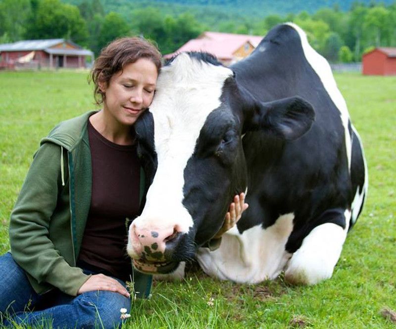 Leia mais sobre o artigo Dia Mundial do Vegano é celebrado neste 1º de novembro