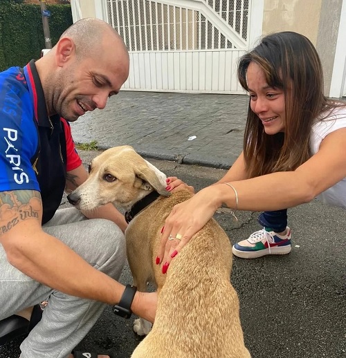 Leia mais sobre o artigo Cachorra Pandora que sumiu em aeroporto é reencontrada após 45 dias