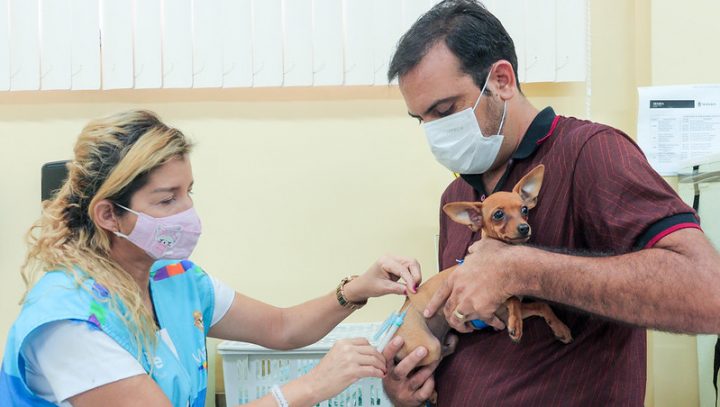 No momento, você está visualizando Confira cronograma semanal da vacinação antirrábica de cães e gatos em Manaus