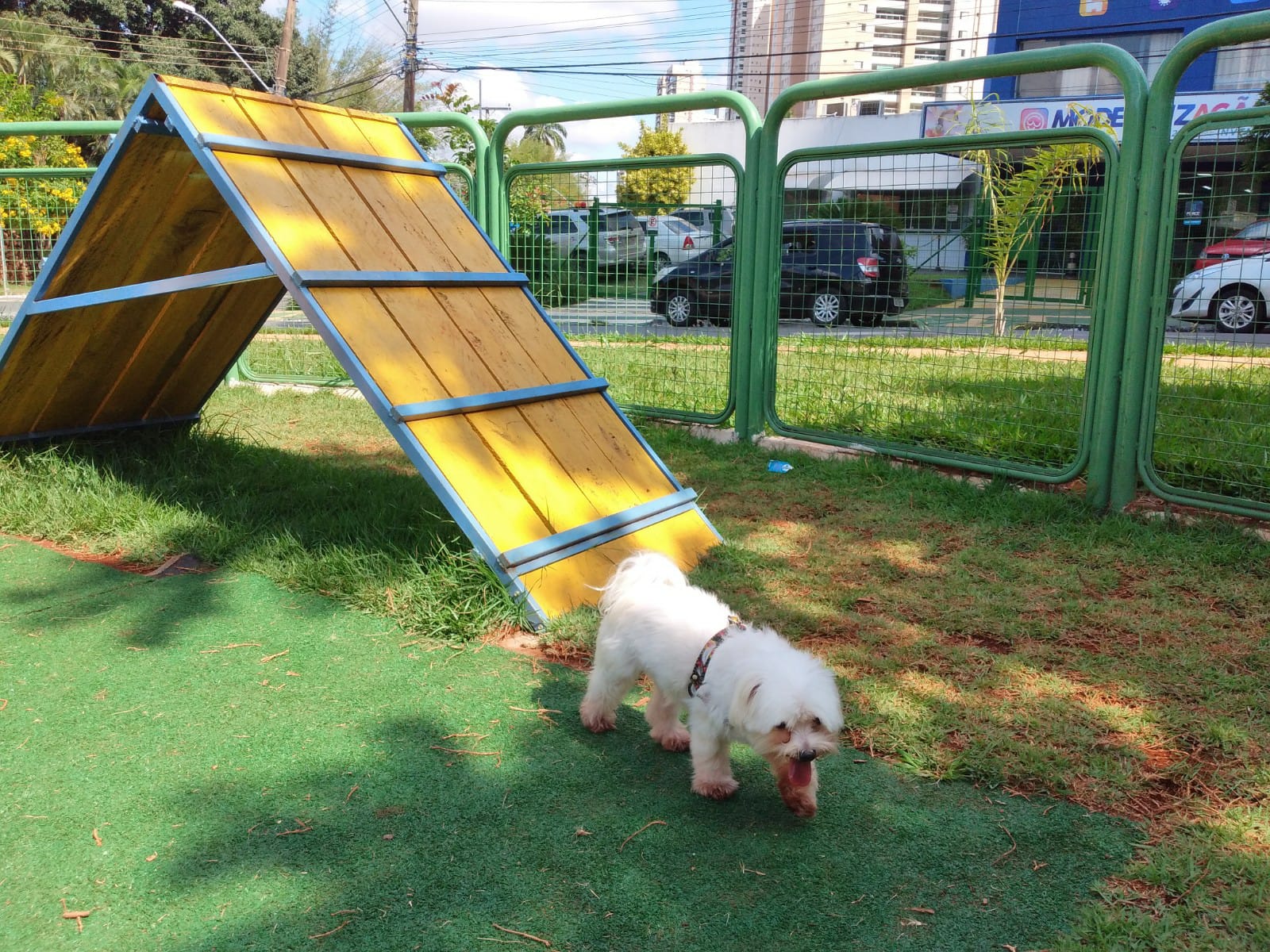 Leia mais sobre o artigo Animais poderão ter espaços em praças públicas de Manaus