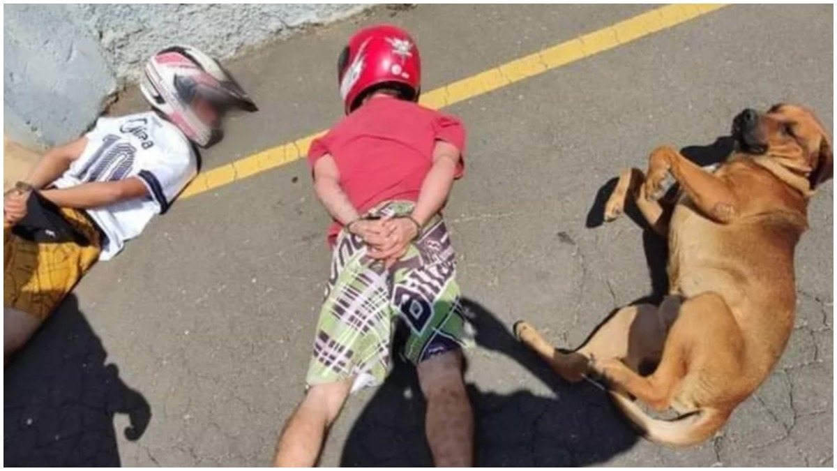 Leia mais sobre o artigo Cão deita ao lado de suspeitos durante abordagem policial