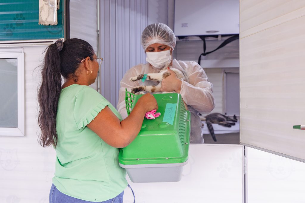Leia mais sobre o artigo Em Manaus, mais de 200 gatos foram castrados para reforçar o combate à esporotricose