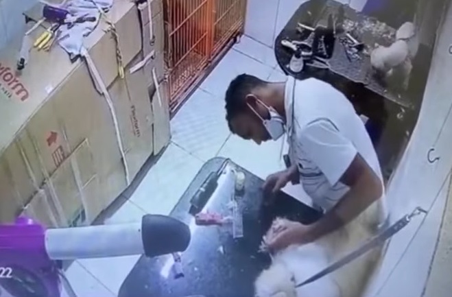 Leia mais sobre o artigo STJ decide manter prisão de homem que enforcou e matou cachorro em pet shop