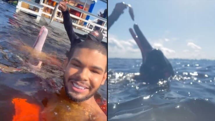 Leia mais sobre o artigo Turistando pelo Amazonas, ex-BBB Vyni nada com botos