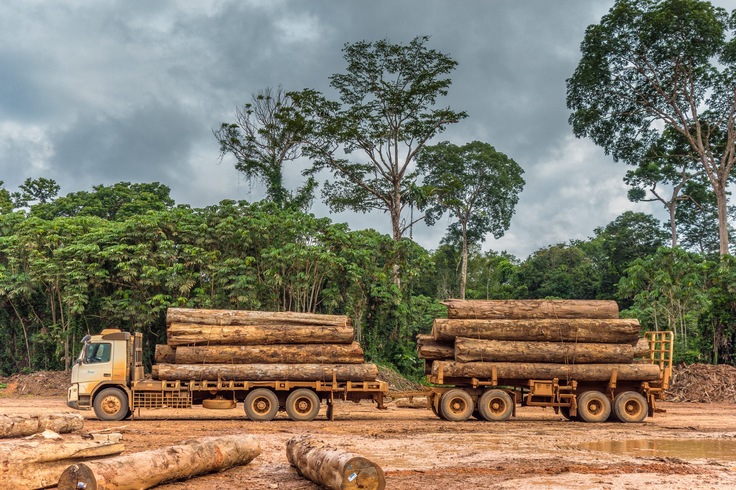 No momento, você está visualizando No Senado, MPF alerta para os efeitos nocivos da omissão do Estado no combate à exploração ilegal da Amazônia