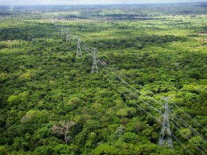 Leia mais sobre o artigo Justiça autoriza obras da linha de transmissão entre Manaus e Boa Vista