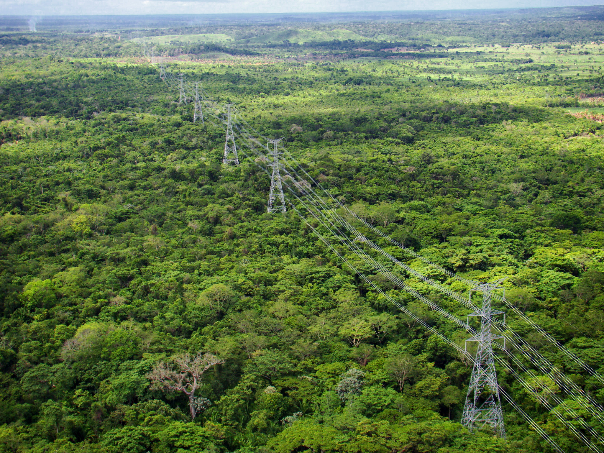 No momento, você está visualizando Justiça autoriza obras da linha de transmissão entre Manaus e Boa Vista