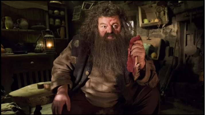 No momento, você está visualizando Ator Robbie Coltrane, o Hagrid de ‘Harry Potter’, morre aos 72 anos