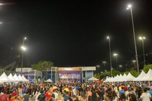 Leia mais sobre o artigo Feirinha do Tururi atrai  8 mil foliões e reaquece mercado do artesanato em Manaus