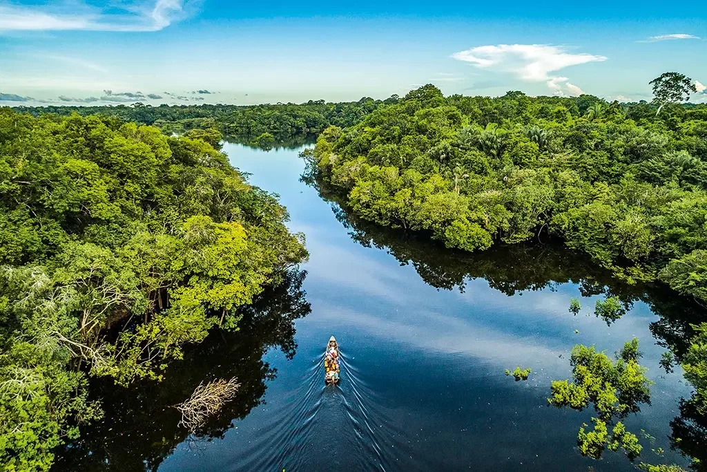 No momento, você está visualizando Supremo determina reativação do Fundo Amazônia