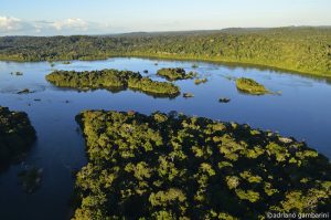 Leia mais sobre o artigo Senador quer criação do Ministério da Amazônia