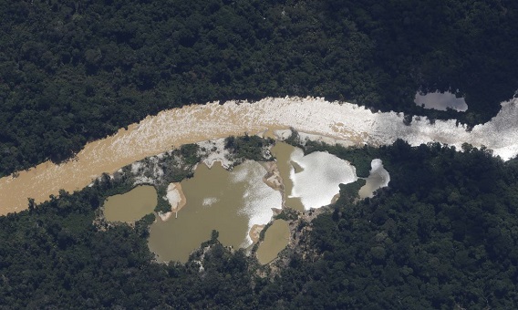 No momento, você está visualizando PF investiga morte de três yanomami por garimpeiros em Roraima