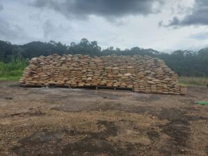 Leia mais sobre o artigo No interior do Amazonas, PF destrói cerca de duas toneladas de drogas