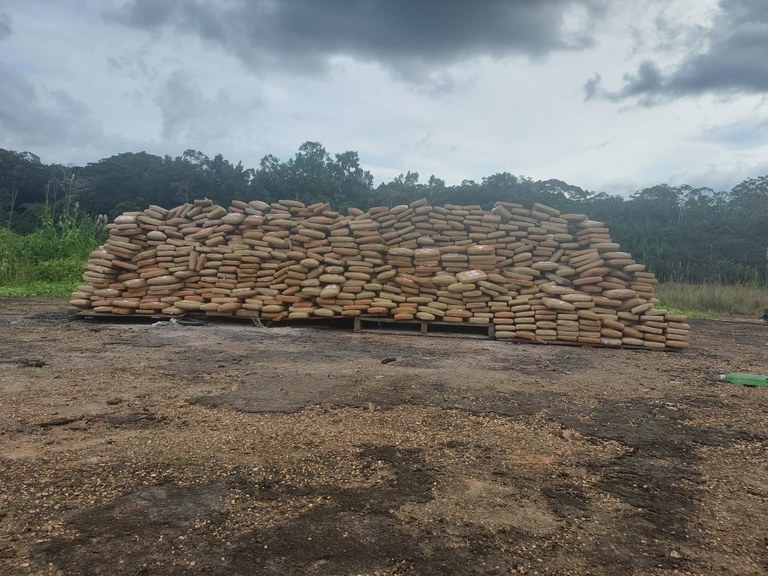 No momento, você está visualizando No interior do Amazonas, PF destrói cerca de duas toneladas de drogas