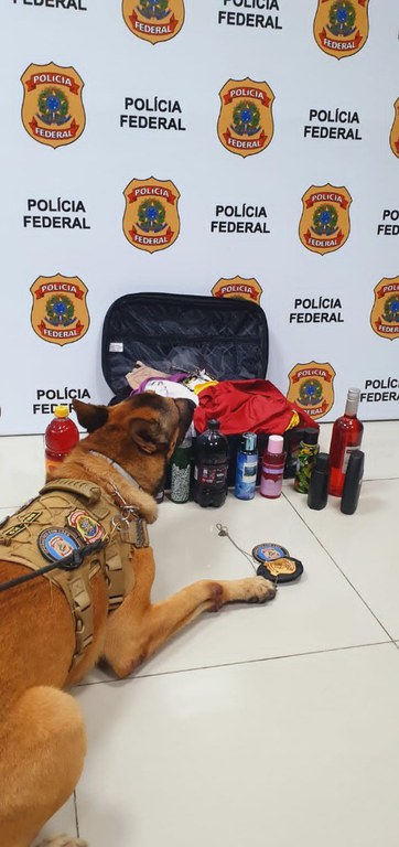No momento, você está visualizando PF prende Manauara que tentava embarcar com drogas para Dubai, em Fortaleza