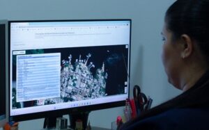 Leia mais sobre o artigo Mapa com as áreas de riscos de desastres no Amazonas é divulgado