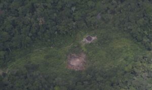 Leia mais sobre o artigo Justiça concede liberdade a garimpeiros presos em Terra Yanomami