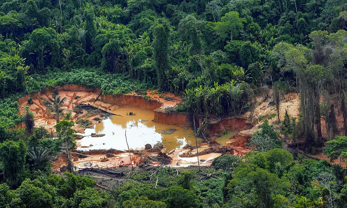 No momento, você está visualizando Operação contra garimpo ilegal prende cinco pessoas no Amazonas