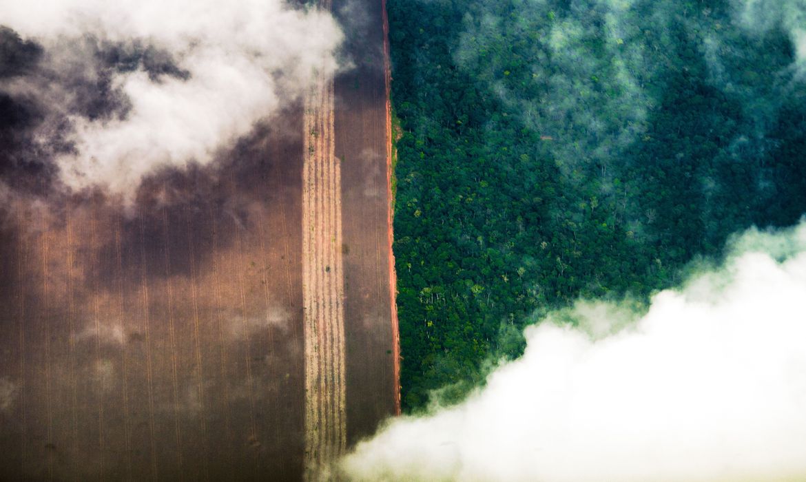 No momento, você está visualizando Banco Mundial alerta para dano permanente do desmatamento na Amazônia