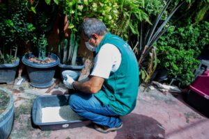 Leia mais sobre o artigo Diagnóstico aponta Manaus com médio risco para doenças transmitidas pelo Aedes aegypti e 19 bairros em alta vulnerabilidade