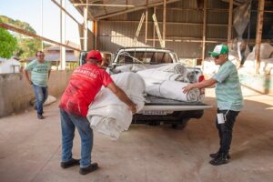 Leia mais sobre o artigo Caprichoso e Garantido iniciam coleta de isopor residual das alegorias para destinar à reciclagem