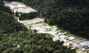 Leia mais sobre o artigo Força-tarefa destrói dez garimpos ilegais na Amazônia
