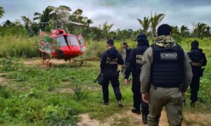 Leia mais sobre o artigo PF e ICMBio fazem operação contra crimes ambientais no Amazonas