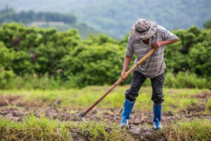 Leia mais sobre o artigo Indígenas poderão comprovar atividade rural para acessar benefícios