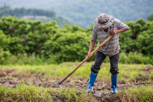 No momento, você está visualizando Indígenas poderão comprovar atividade rural para acessar benefícios