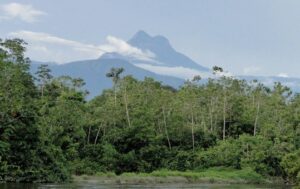 Leia mais sobre o artigo Amazonas é escolhido entre os 100 lugares incríveis do Brasil