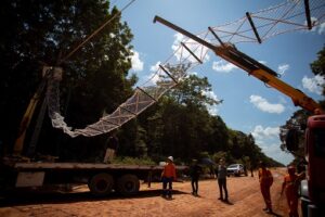 Leia mais sobre o artigo BR-319 recebe primeira passagem superior de fauna, projetada para primatas ameaçados