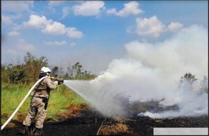 Leia mais sobre o artigo Corpo de Bombeiros envia militares para combater focos de incêndio em Borba