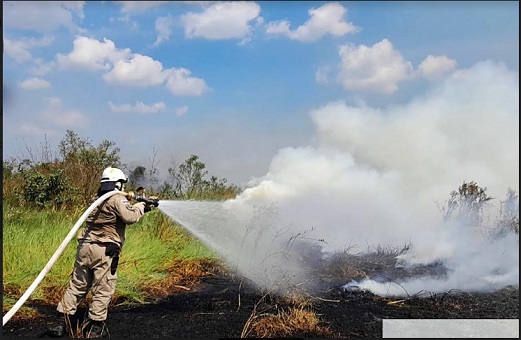 No momento, você está visualizando Corpo de Bombeiros envia militares para combater focos de incêndio em Borba